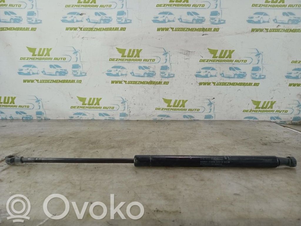 Fiat Punto (199) Tylna klapa bagażnika 