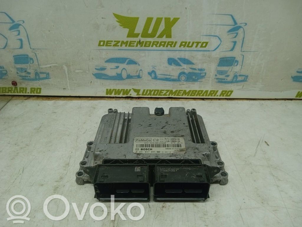 Ford Focus Engine control unit/module ECU 