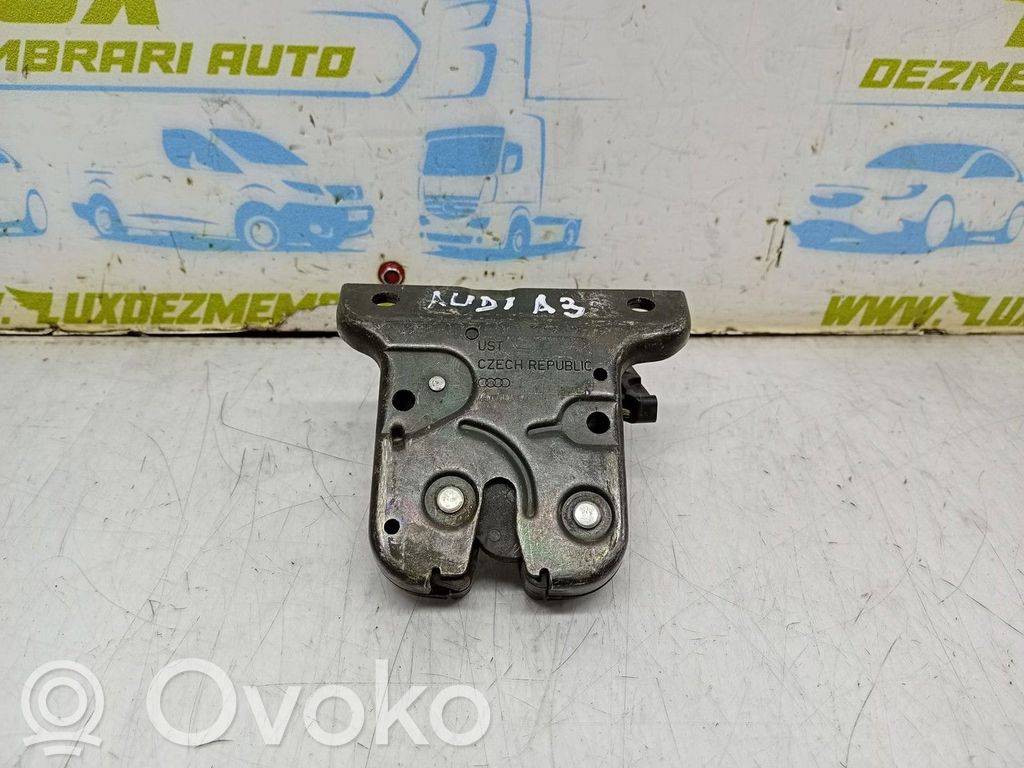 Tailgate/trunk/boot lock/catch/latch
