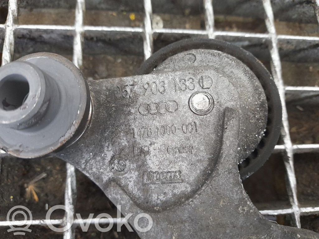 Napinacz paska alternatora   057903133