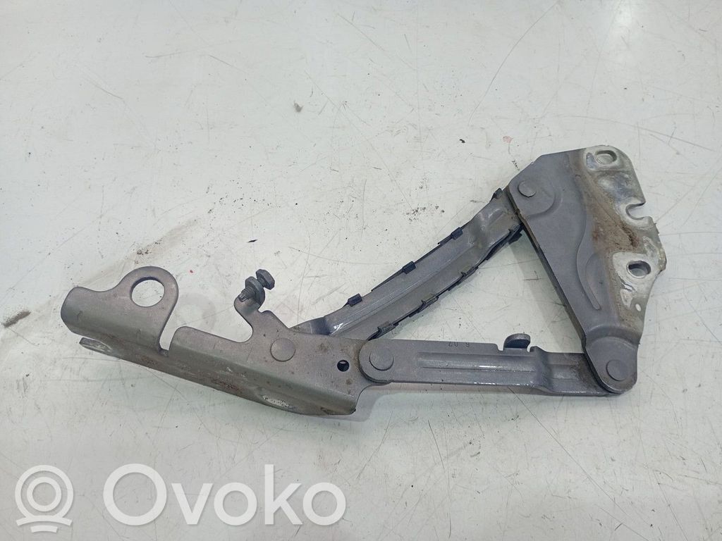 Volkswagen Golf Plus Cerniere del vano motore/cofano 