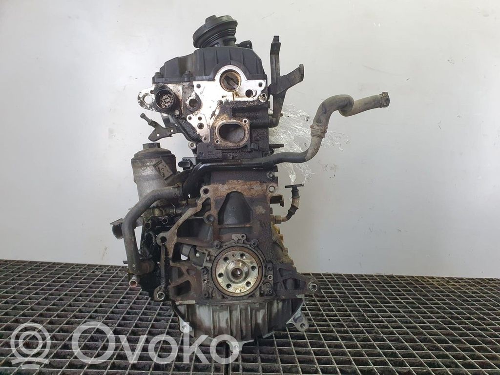Motor   BKC