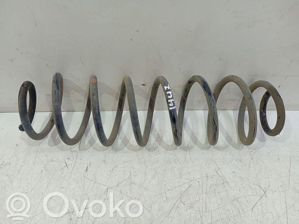 Muelle espiral trasero