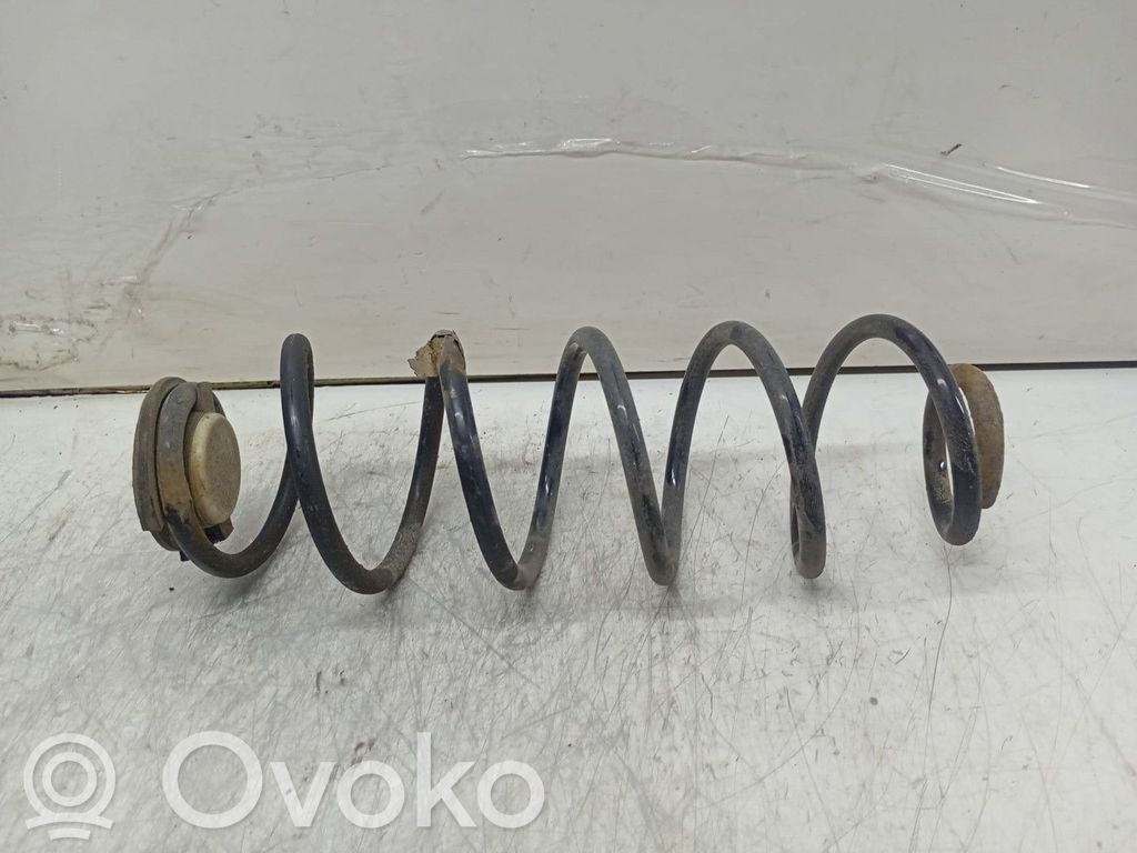 Muelle espiral trasero
