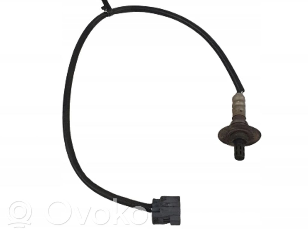 Lambda zondas   250X1328