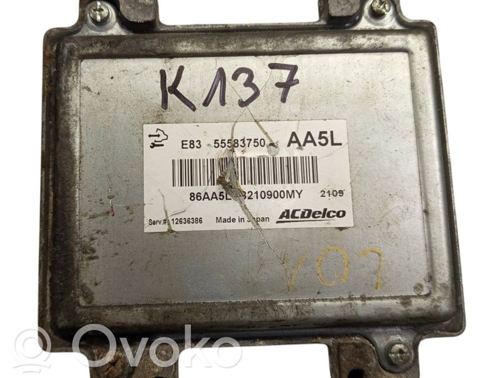 Engine control unit/module   55583750,12636386,3210900MY