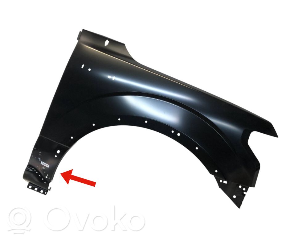 Guardabarro   FL3Z16005B,REPLACEMENT,TONGYANG