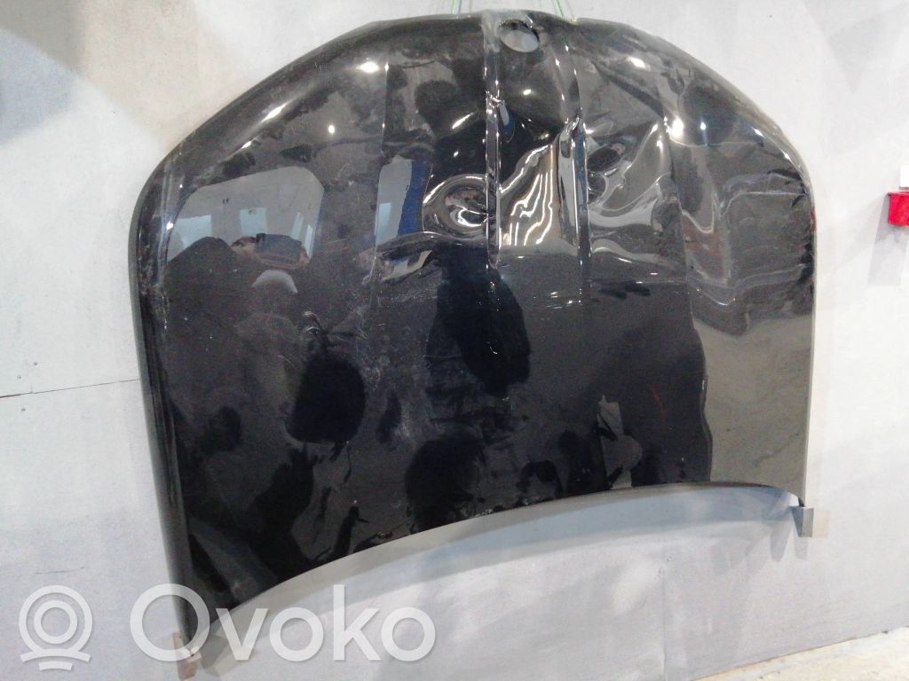Dzinēja pārsegs (vāks)   8737174