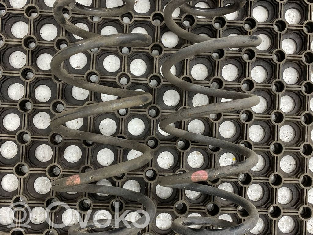 Rear coil spring   4131184M00