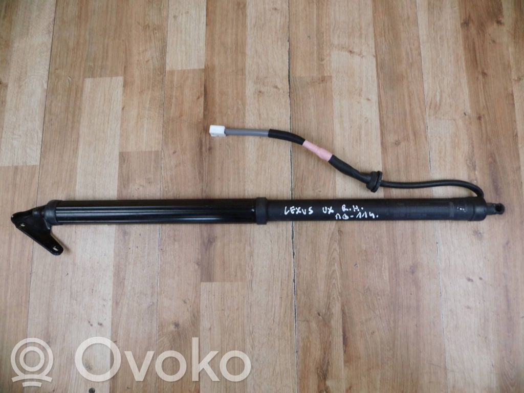 Lexus UX Tailgate strut 