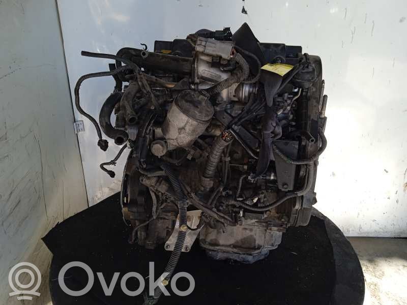 Motor