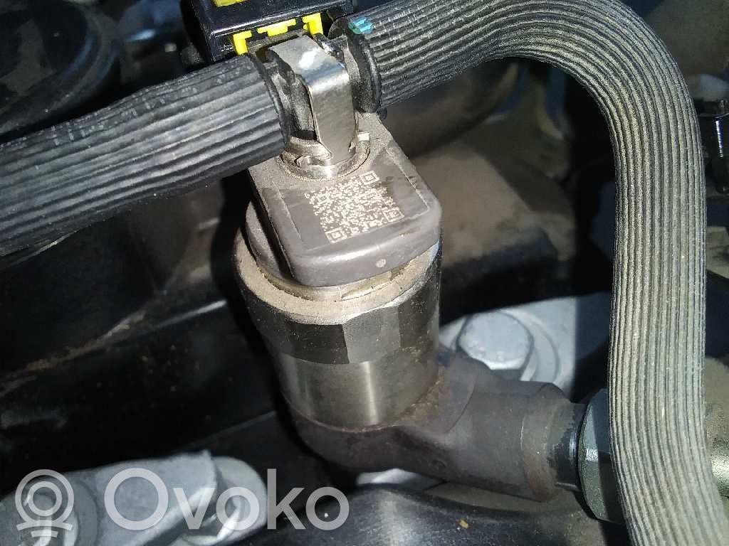 Injektor Einspritzdüse