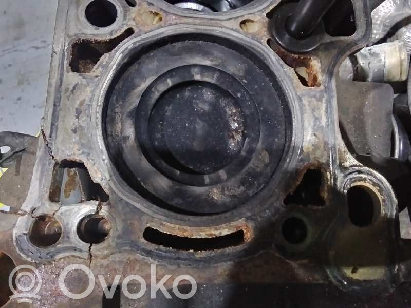 Piston   0000504386684,0000500055511