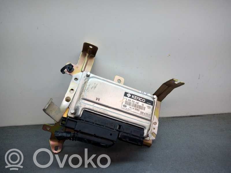 Engine control unit/module   3911002055