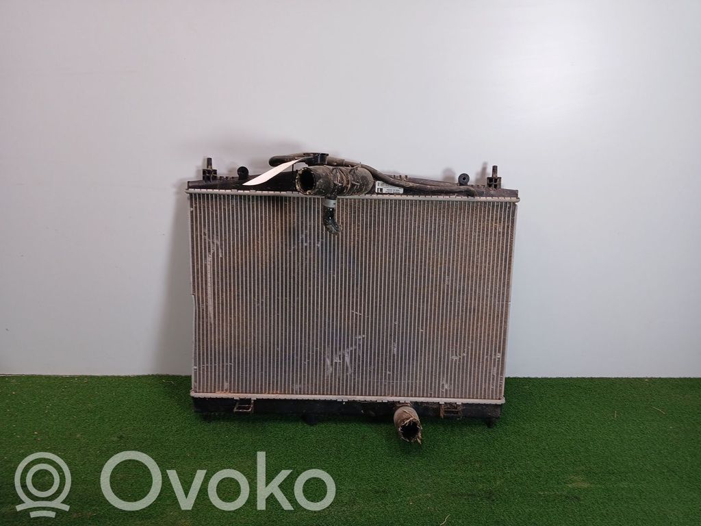 Nissan Juke I F15 Chłodnica 