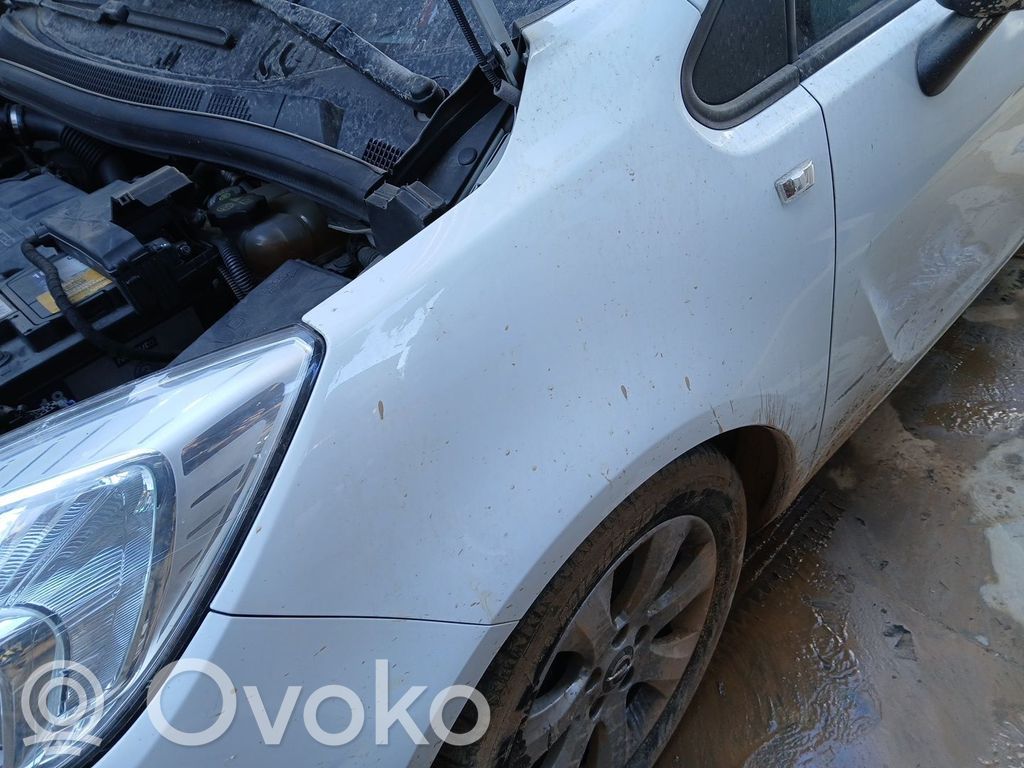 Opel Meriva B Aile 