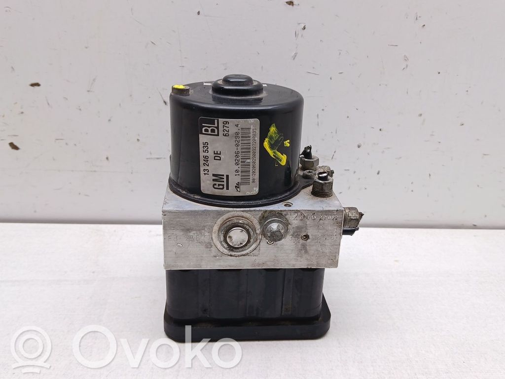 ABS-pumppu   13246535,10020602904