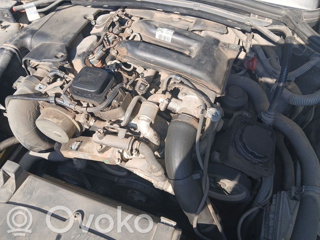 Motor   204D4