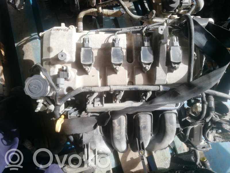 Motor   Z6