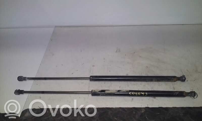 Seat Cordoba (6K) Amortiguador/puntal del maletero/compartimento de carga 