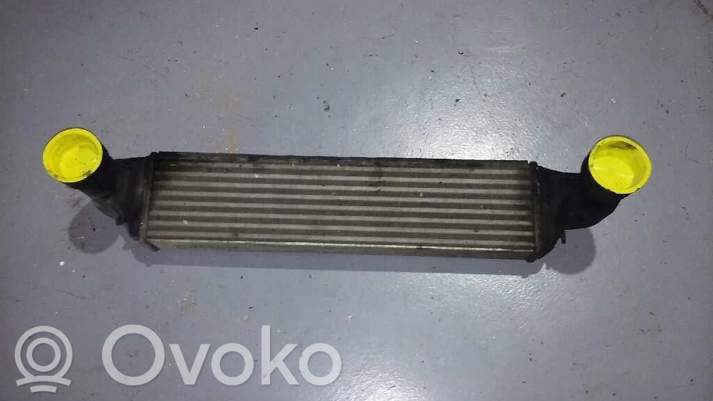 Intercooler radiator   77897930