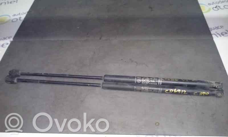 Fiat Stilo Konepellin kaasujousi 