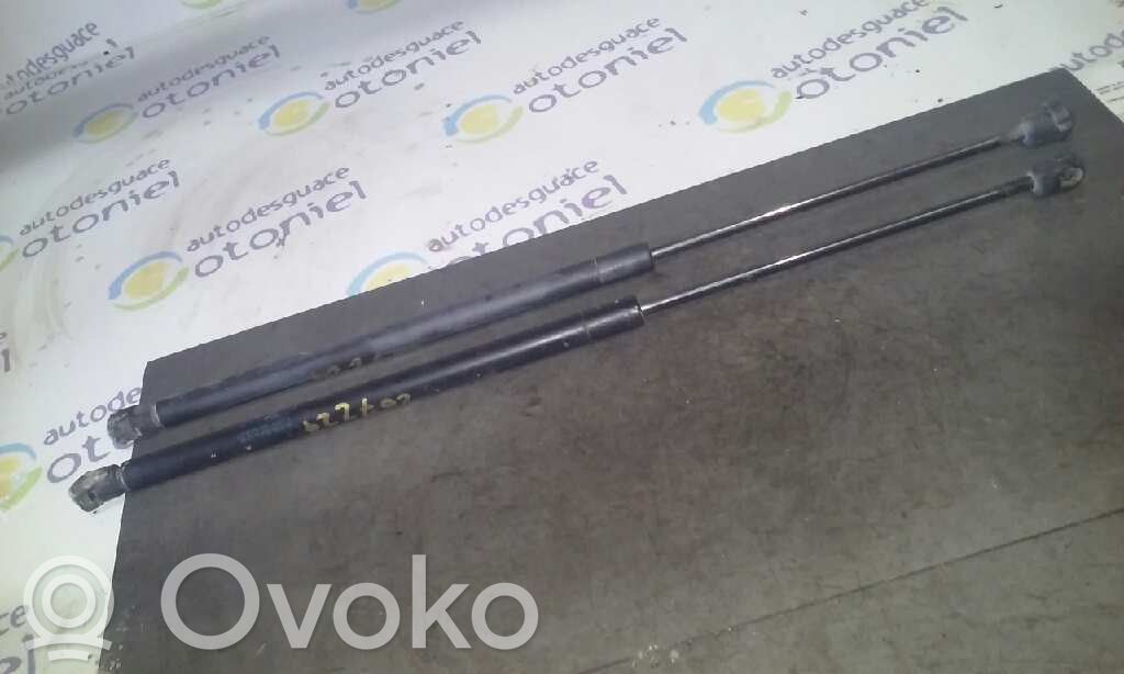 Honda Civic Amortizatorius galinio dangčio 