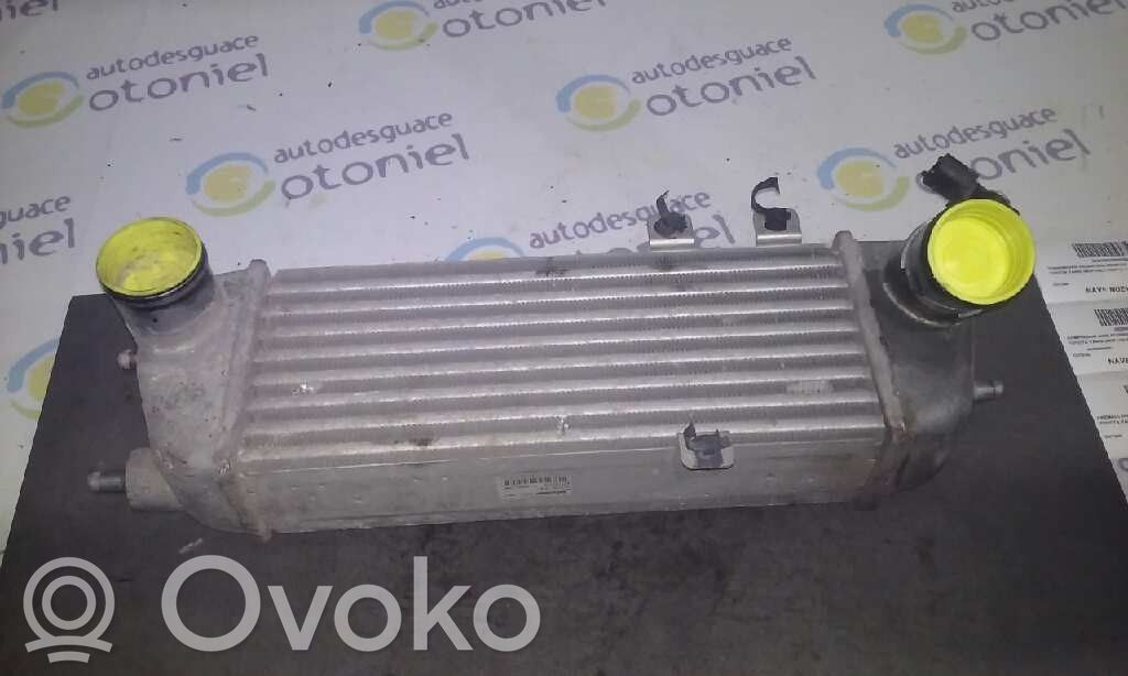 Intercooler radiator