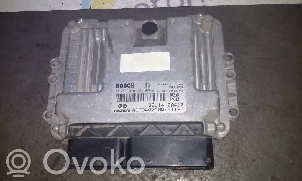Engine control unit/module   0281016491,391142A410