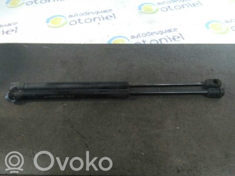 Chevrolet Aveo Amortizatorius galinio dangčio 