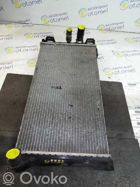 Fiat Punto (199) Radiateur de refroidissement 