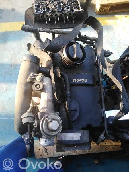 Motor