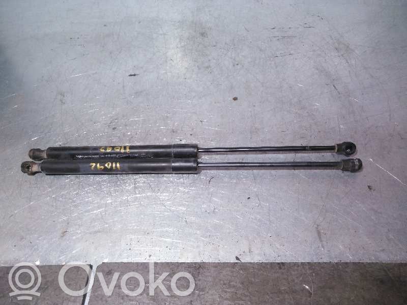 Amortizor hayon   620N,495CM