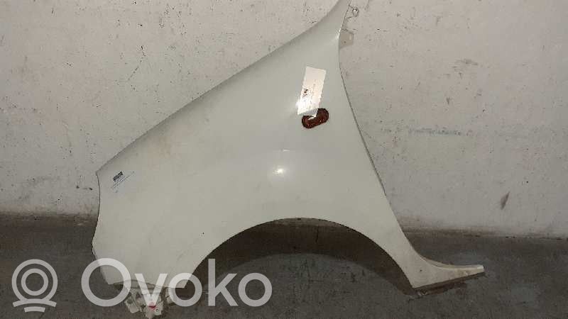 Renault Kangoo I Lokasuoja 