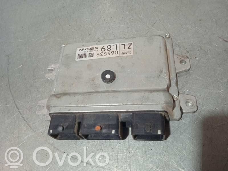Engine control unit/module   065539L89,065539L89,NEC000818