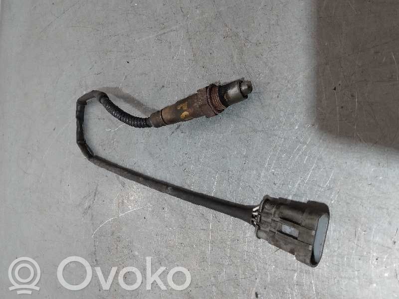 Sonde lambda   4PINES