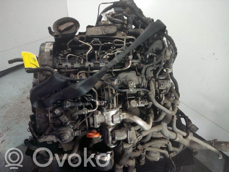 Motor   CBD