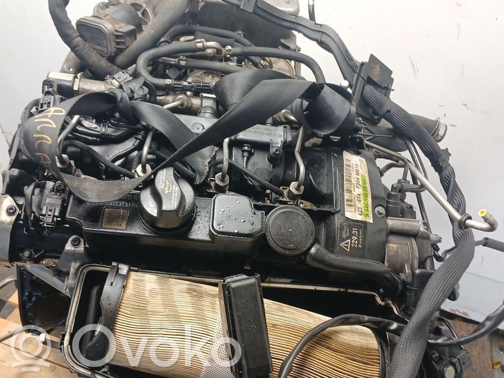 Motor
