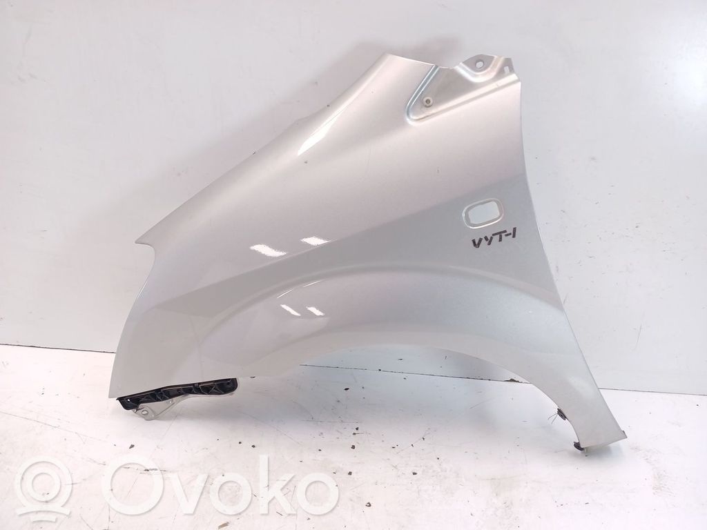 Guardabarro   538120F010