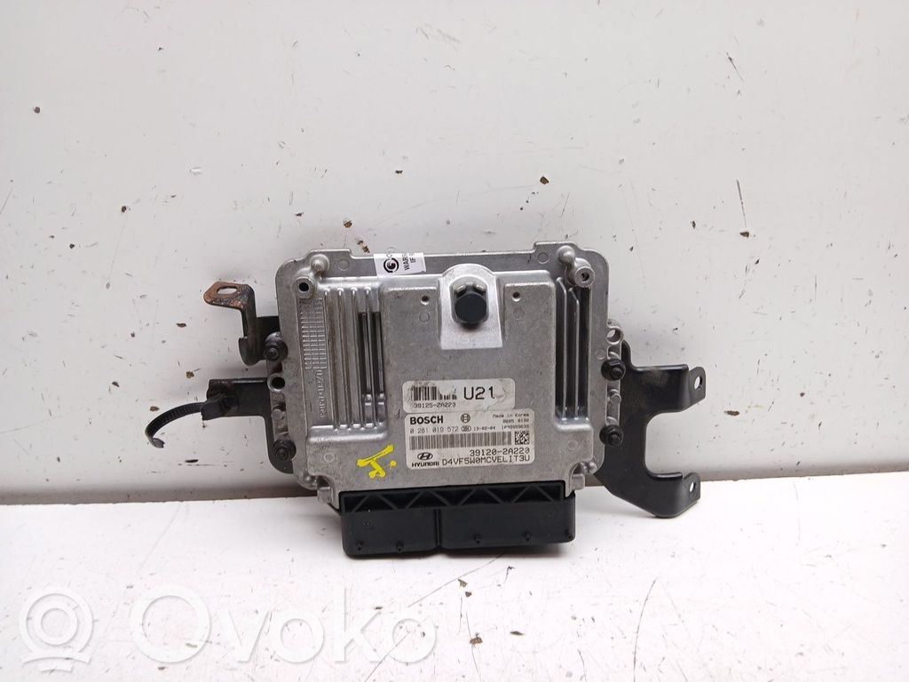 Engine control unit/module   391202A220,0281019572