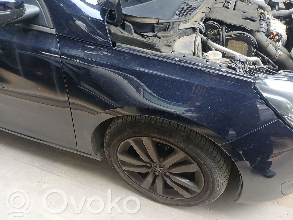 Peugeot 308 Guardabarro 