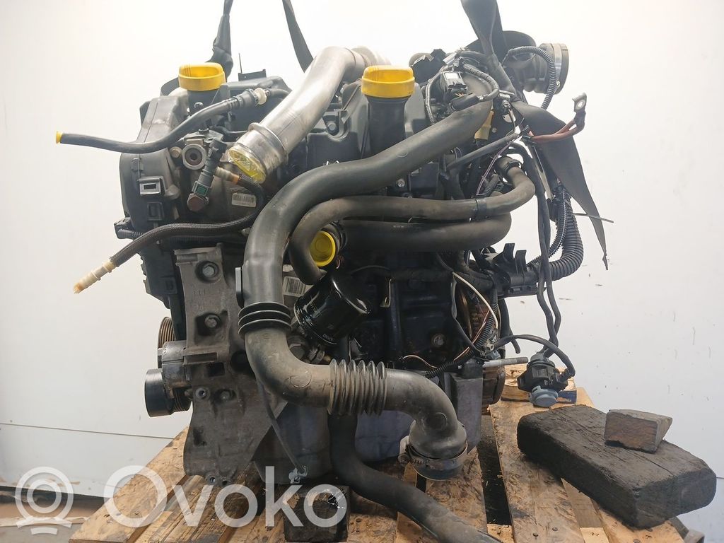 Motor