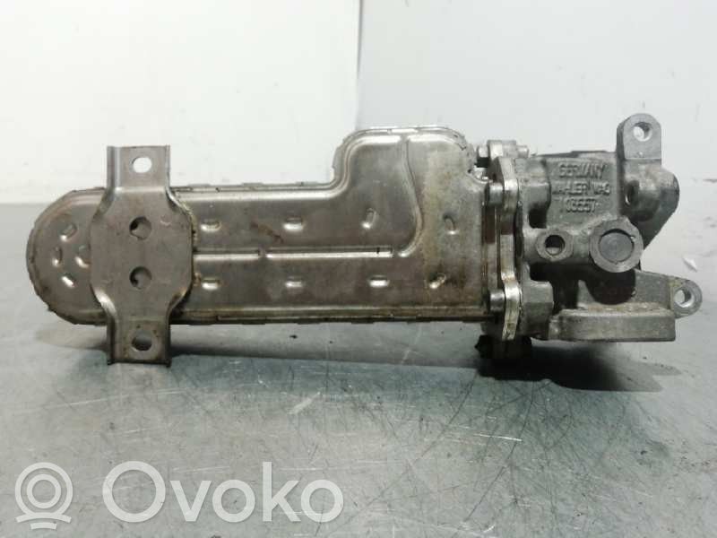 Volkswagen Passat Alltrack Răcitor supapă EGR 