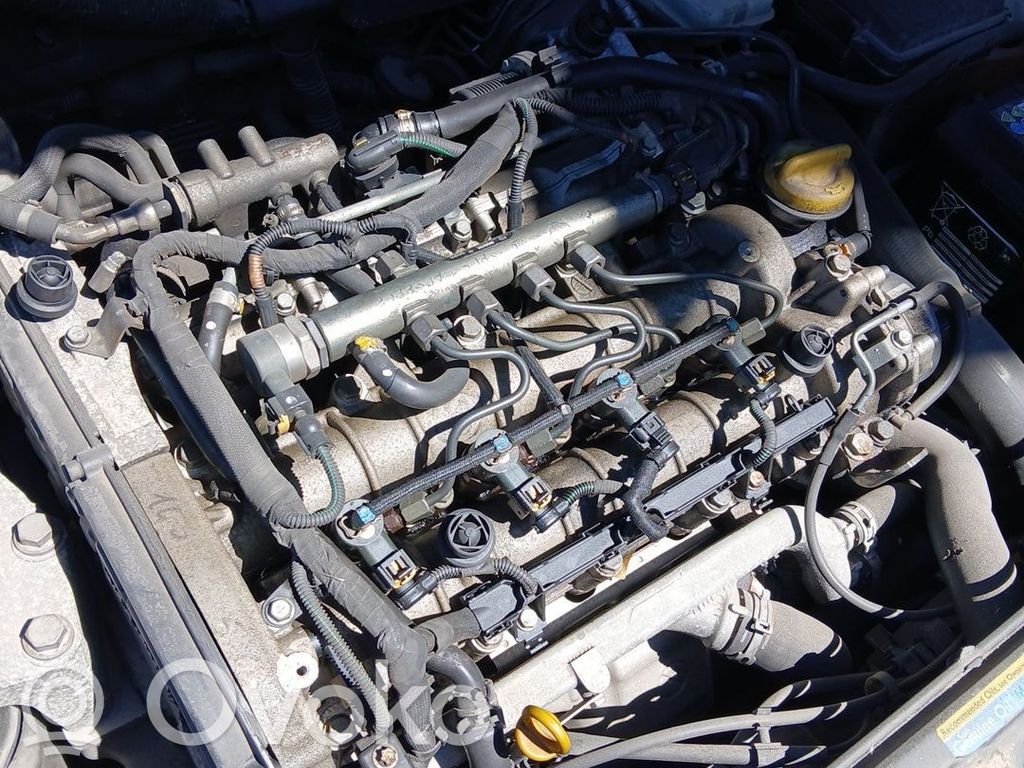 Variklis   Z19DTH,55204074