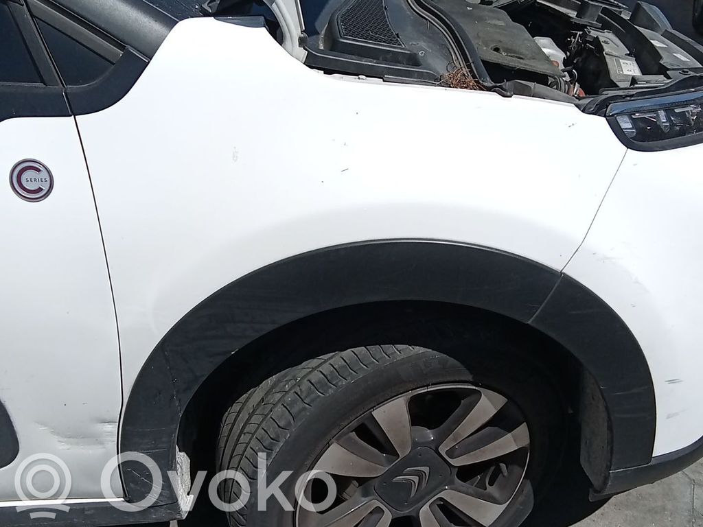 Citroen C3 Lokasuoja 