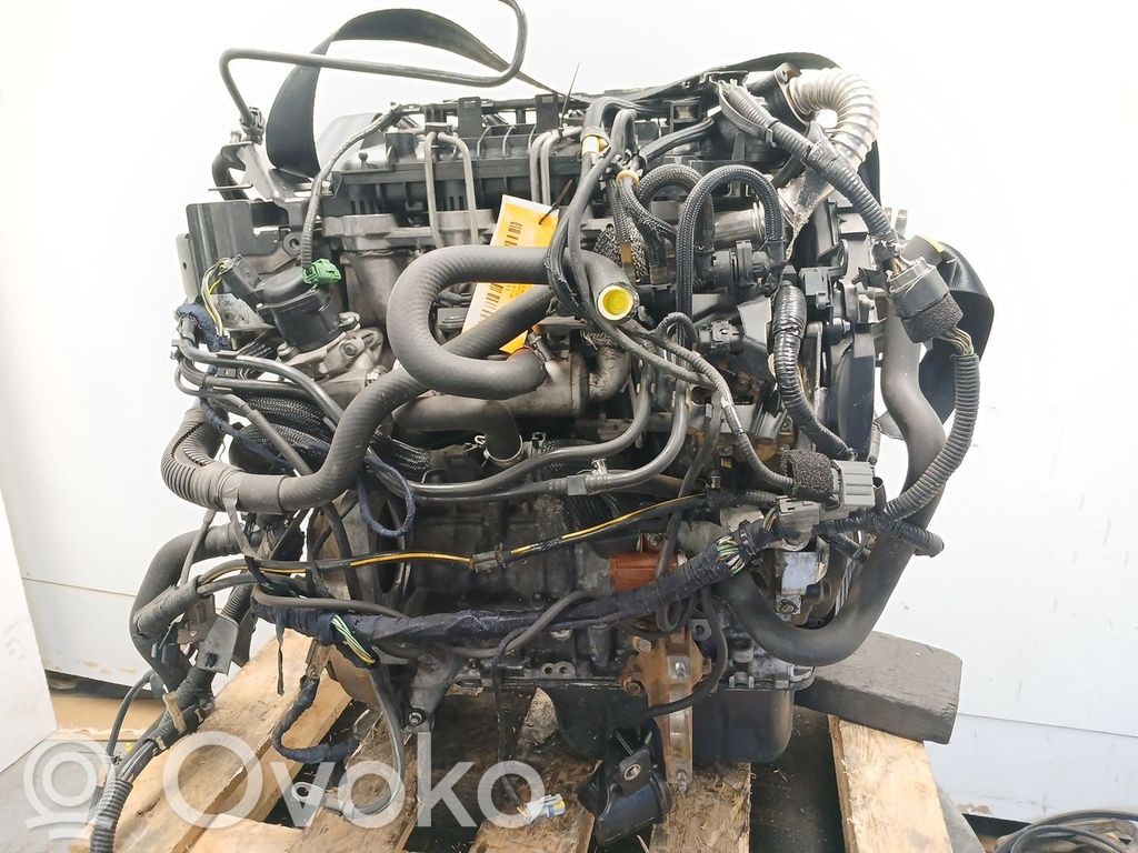 Motore