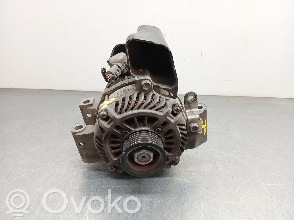 Generator/alternator   F862J0391OE