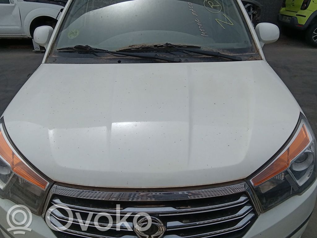 SsangYong Rodius Konepelti 