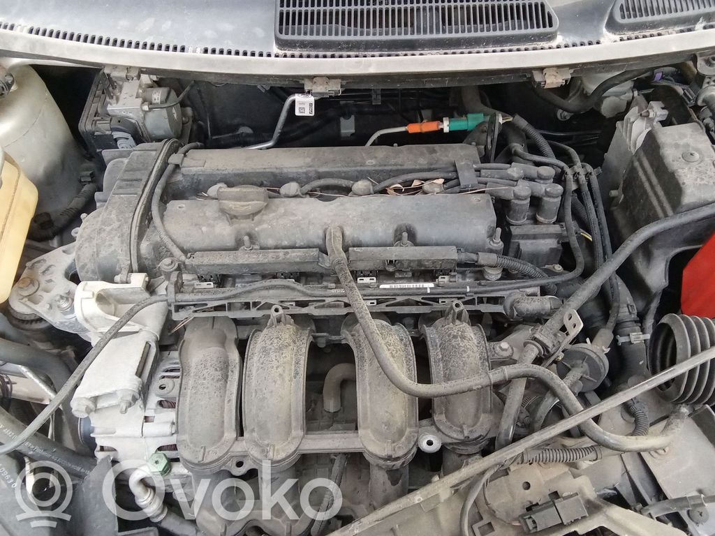 Ford Fiesta Dzinējs 