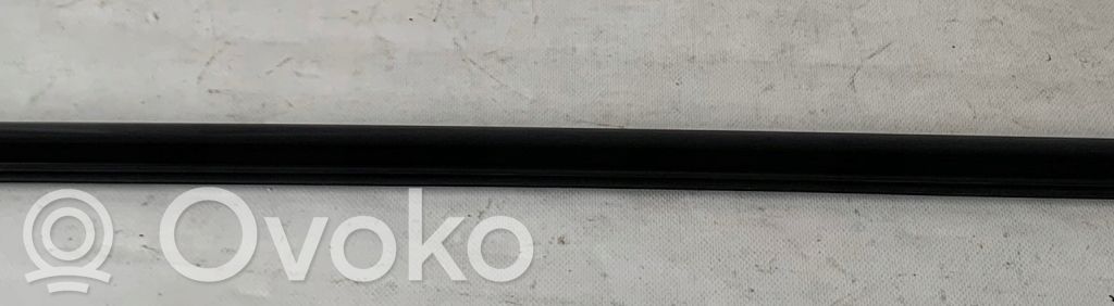 BMW 7 F01 F02 F03 F04 Listwa / Uszczelka szyby drzwi przednich 